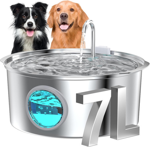Dog water fountain - dog,