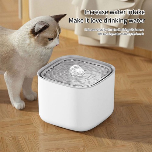 Cat water fountain - water,